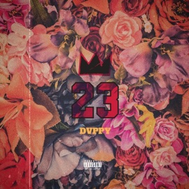 23 Dvppy