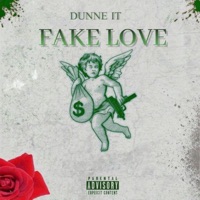 Fake Love - Single - Dunneit
