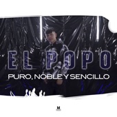 Puro, Noble y Sencillo artwork