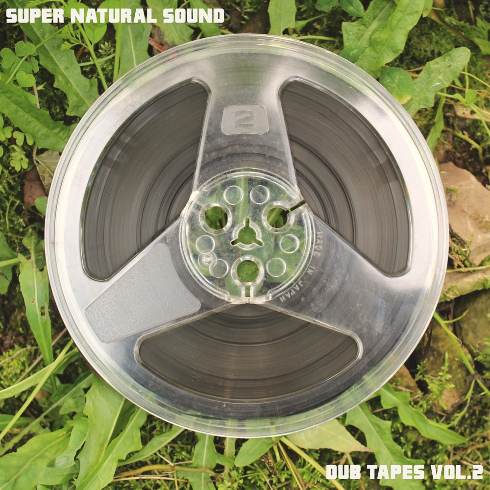 Обложка альбома «Moon Dub (feat. Aki Mittoo, Goja Bongos & Asaf Smilan) - Single» — Super Natural Sound