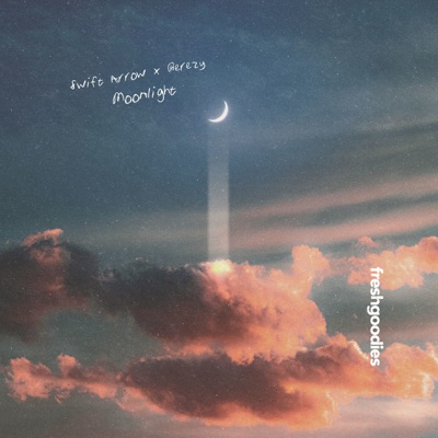 Moonlight (feat. Berezy) - Single