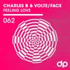 Feeling Love - Single