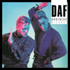 Brothers (Mix Gabi) - DAF