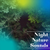 Night Nature Sounds: Soft Crickets, Owls, Water & Rain - Cricket Sounds, Forest at Night Sounds & Night Nature Sounds