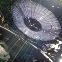 B - Single - stupidbrain