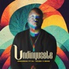 Undinyusele (feat. Dj Couza & Biikie) - Single