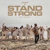 Stand Strong (feat. The Samples) artwork