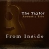The Taylor Acoustic Trio