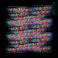 M16.V22 - Single - MADfaust