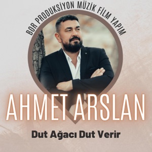 Dut Ağacı Dut Verir