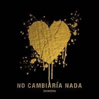 No cambiaría nada - Single - Shinova