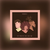 Paradise (feat. 2rt & ProSpeR) - Single - Tha Sikk 1ne
