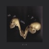 Optimistic Decay - Single