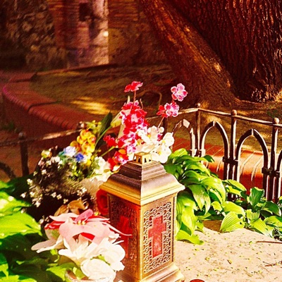 My Sweet Verona (feat. GBB) - Single