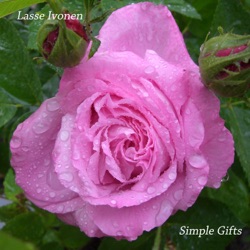 Simple Gifts