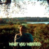 What You Wanted - Single