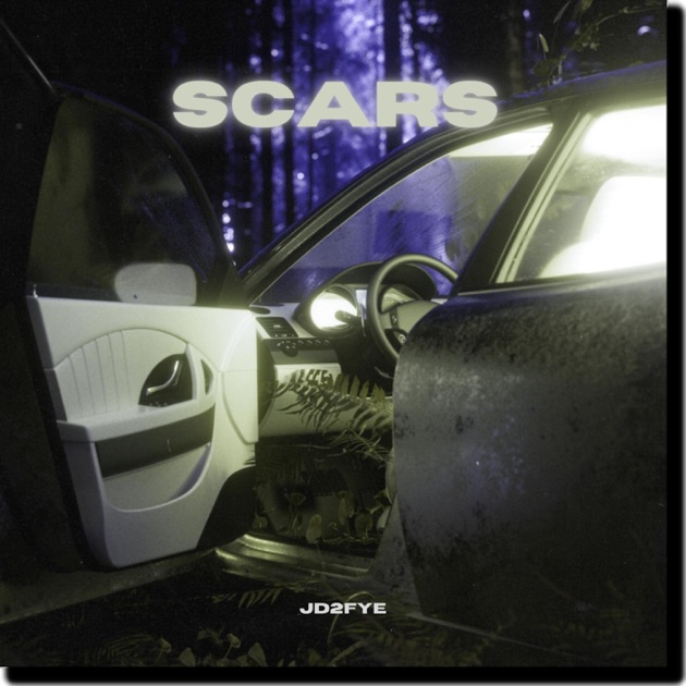 Scars - Single - Album by Jd2fye - Apple Music
