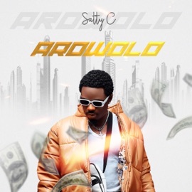 Arowolo Satty C
