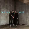 Hogland - Never Need (feat. Charlie South)