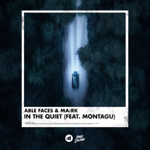 In The Quiet (feat. Montagu)
