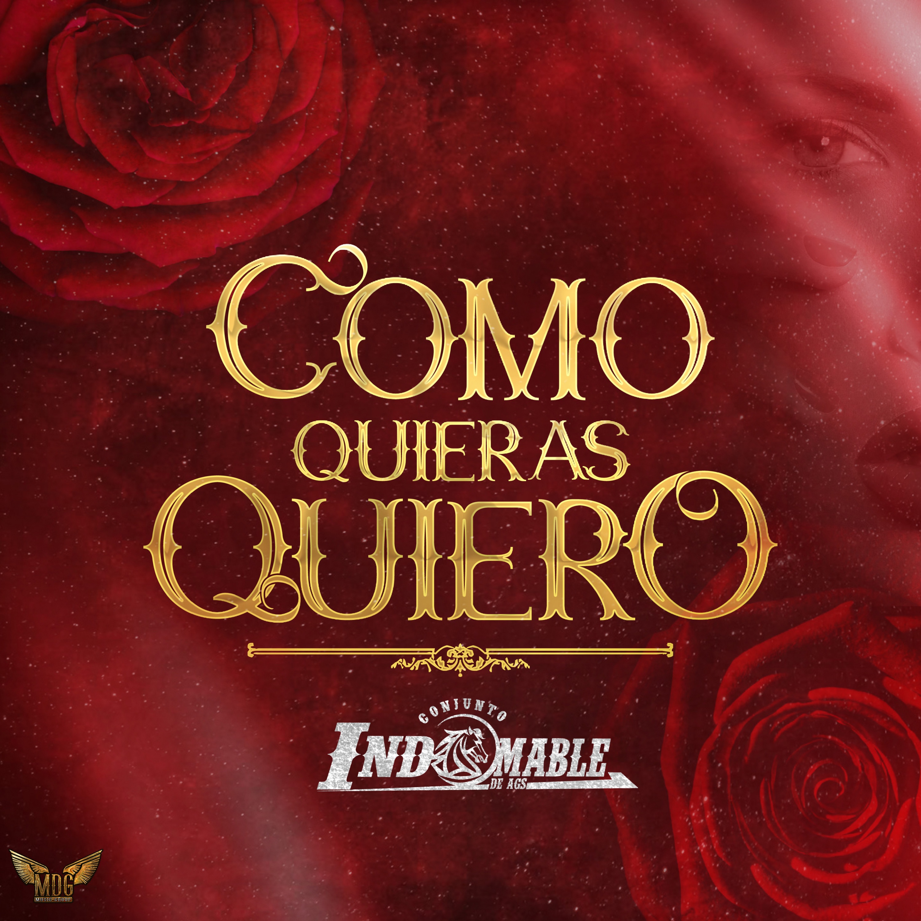 Como Quieras Quiero - Single