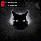 Gato Negro (Daniel Hokum & okuma Remix) artwork