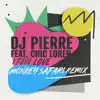 DJ Pierre - I Feel Love