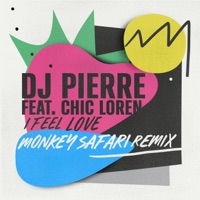I Feel Love (Monkey Safari Remix) [feat. Chic Loren] - Single - DJ Pierre