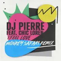I Feel Love — DJ Pierre