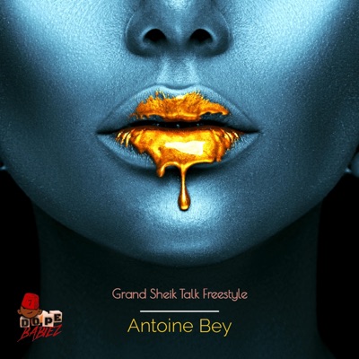 Grand Sheik Talk Freestyle - Single