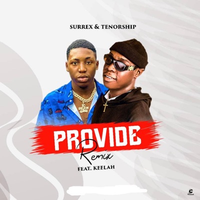 Provide (Amapiano Version) [feat. Tenorship & Keelah] - Single