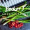 Green Onions - Booker T. Jones lyrics