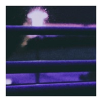 Homebody - Single - Shiraku 紫楽 & Yuforia