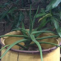 when its cold weather (feat. NRG Komodo) - Single - m0$h Blac.