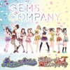 GEMS COMPANY