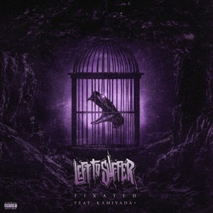 Fixated (feat. Kamiyada+)