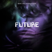 Future (Fur Coat Remix) artwork