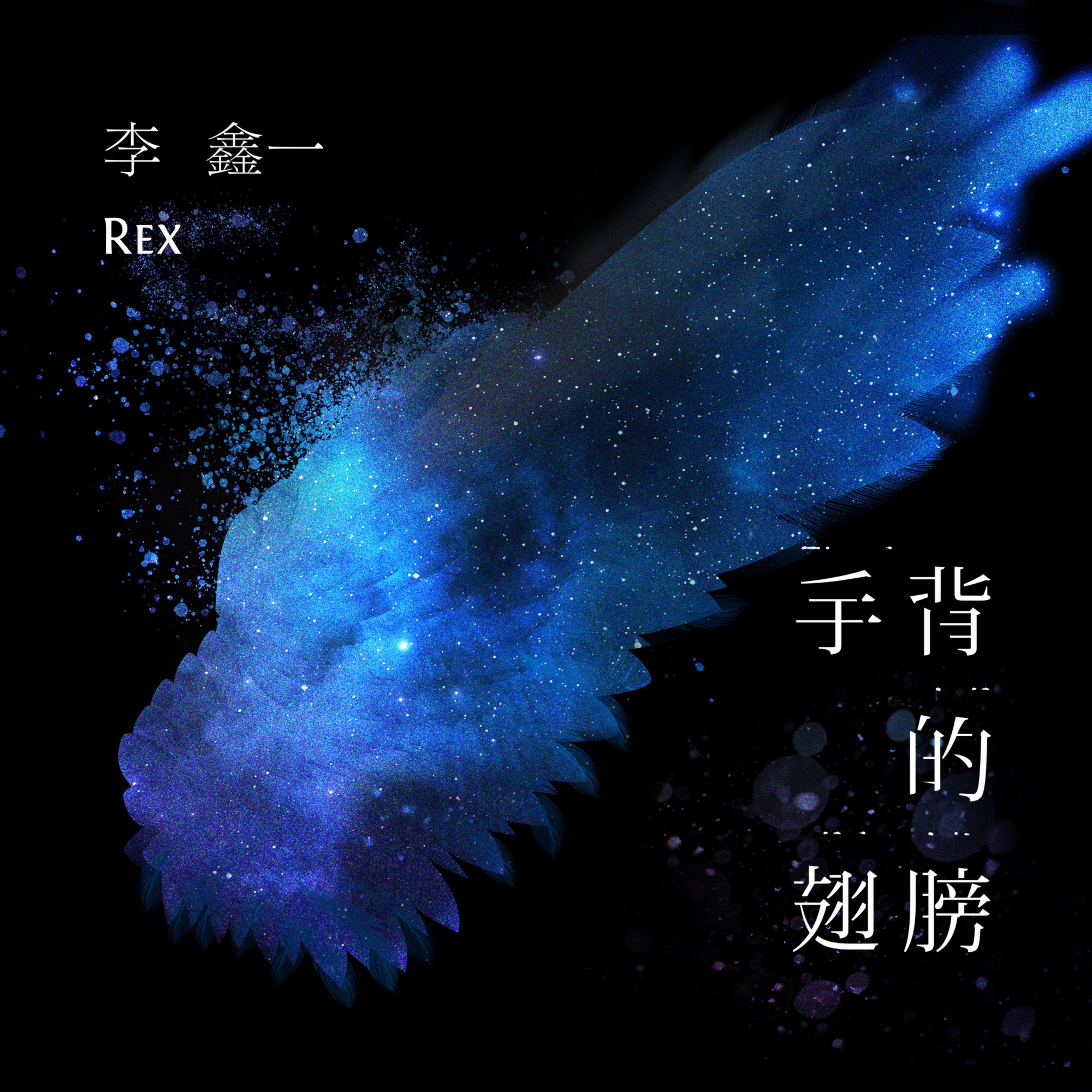 李鑫一 - 手背的翅膀