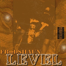 Level Fb-DShaun