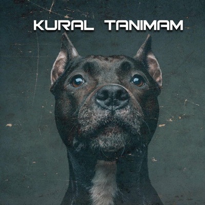 Kural Tanımam - Single