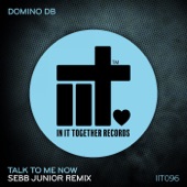 Talk to Me Now (Sebb Junior Extended Remix) artwork