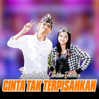 Cinta Tak Terpisahkan (feat. Cantika Davinca) - Single - Arya Galih