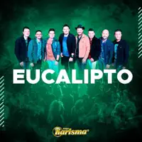 EUCALIPTO — KARISMA