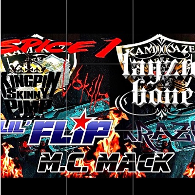 hilltops 666 (feat. M.C. MACK, Skinny Pimp, Scrim, Layzie bone, Krazy, Devourment, Chris andrews, Lil’ Flip & Spice 1) - Single