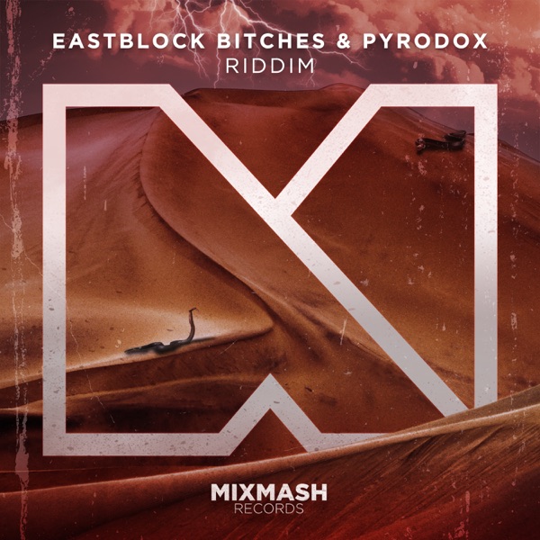 Riddim - Single