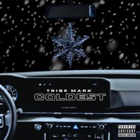 Coldest - Single - Tribe Mark