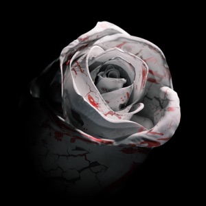 Chord Gitar Romantic Homicide - d4vd
