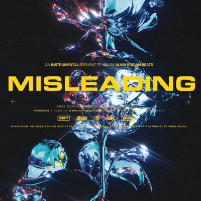Misleading - Single