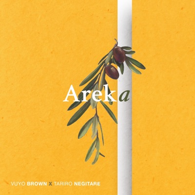Areka (feat. Tariro NeGitare) - Single