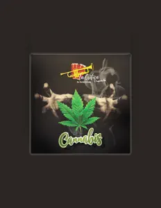 Ouve La Critica Orquesta de Harold Estrada, vê vídeos de música, lê a biografia, vê as datas da digressão e muito mais!